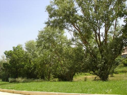 Vente appartement t3 chateau gombert 13013